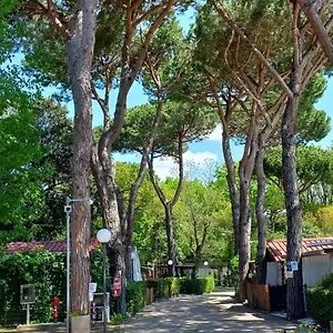camping-linus.it-tuscanyhotel.com/